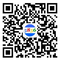 伯乐速运